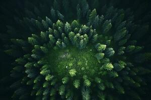 AI generated Aerial view of over dark pine forest trees. Top down drone view. photo