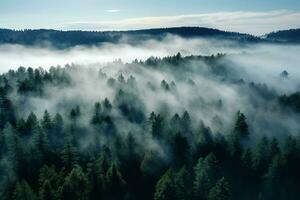 AI generated Aerial view of dark green forest with misty clouds. The rich natural ecosystem of rainforest concept of natural forest conservation and reforestation. photo