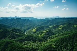 AI generated Mountains in clouds at sunrise in summer. Aerial view of mountain peak with green trees in fog. Beautiful landscape with high rocks, forest, sky. Top view from drone of mountain photo