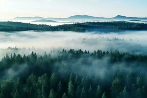 AI generated Aerial view of dark green forest with misty clouds. The rich natural ecosystem of rainforest concept of natural forest conservation and reforestation. photo
