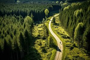 AI generated Aerial view of a road in the middle of the forest photo