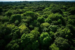 ai generado aéreo ver de terminado oscuro pino bosque arboles parte superior abajo zumbido vista. foto