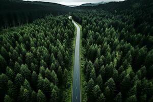 ai generado aéreo ver de un la carretera en el medio de el bosque foto