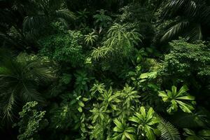 ai generado aéreo parte superior ver bosque árbol, selva ecosistema y sano ambiente concepto y fondo, textura de verde árbol bosque ver desde encima foto