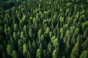 AI generated Aerial view of dark green forest with misty clouds. The rich natural ecosystem of rainforest concept of natural forest conservation and reforestation. photo