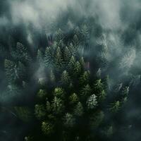 AI generated Aerial view of dark green forest with misty clouds. The rich natural ecosystem of rainforest concept of natural forest conservation and reforestation. photo
