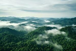 ai generado aéreo ver de oscuro verde bosque con brumoso nubes el Rico natural ecosistema de selva concepto de natural bosque conservación y repoblación forestal. foto