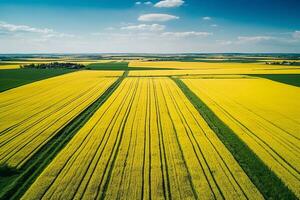 AI generated Aerial view with the landscape geometry texture of a lot of agriculture fields with different plants like rapeseed in blooming season and green wheat. Farming and agriculture industry. photo