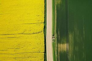 AI generated Aerial view with the landscape geometry texture of a lot of agriculture fields with different plants like rapeseed in blooming season and green wheat. Farming and agriculture industry. photo