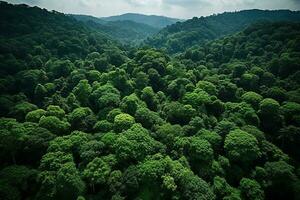 AI generated Aerial top view forest tree, Rainforest ecosystem and healthy environment concept and background, Texture of green tree forest view from above photo