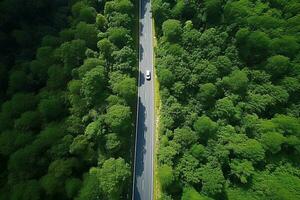 ai generado aéreo ver de un la carretera en el medio de el bosque foto