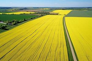 AI generated Aerial view with the landscape geometry texture of a lot of agriculture fields with different plants like rapeseed in blooming season and green wheat. Farming and agriculture industry. photo