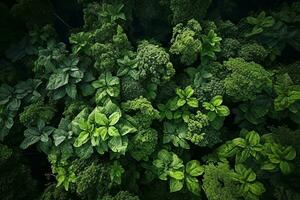 ai generado aéreo parte superior ver bosque árbol, selva ecosistema y sano ambiente concepto y fondo, textura de verde árbol bosque ver desde encima foto