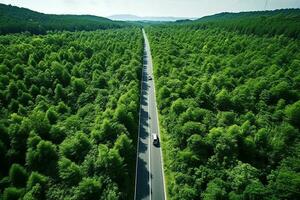 ai generado aéreo ver de un la carretera en el medio de el bosque foto