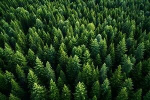 AI generated Aerial view of dark green forest with misty clouds. The rich natural ecosystem of rainforest concept of natural forest conservation and reforestation. photo