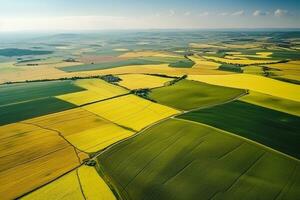 AI generated Aerial view with the landscape geometry texture of a lot of agriculture fields with different plants like rapeseed in blooming season and green wheat. Farming and agriculture industry. photo