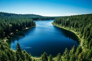 ai generado un casi Perfecto circular lago Disparo Derecho abajo desde el aire se parece el tierra rodeado por un pino bosque foto