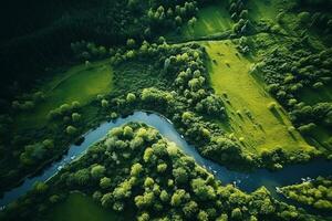 AI generated drone aerial birds eye view of a large green grass forest with tall trees and a big blue bendy river flowing through the forest photo