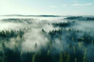AI generated Aerial view of dark green forest with misty clouds. The rich natural ecosystem of rainforest concept of natural forest conservation and reforestation. photo