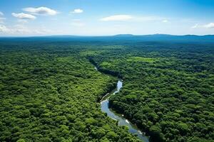 AI generated drone aerial birds eye view of a large green grass forest with tall trees and a big blue bendy river flowing through the forest photo