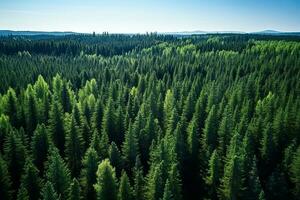 AI generated Aerial view of dark green forest with misty clouds. The rich natural ecosystem of rainforest concept of natural forest conservation and reforestation. photo