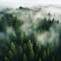 AI generated Aerial view of dark green forest with misty clouds. The rich natural ecosystem of rainforest concept of natural forest conservation and reforestation. photo