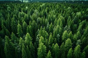 AI generated Aerial view of dark green forest with misty clouds. The rich natural ecosystem of rainforest concept of natural forest conservation and reforestation. photo