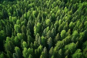 AI generated Aerial view of dark green forest with misty clouds. The rich natural ecosystem of rainforest concept of natural forest conservation and reforestation. photo