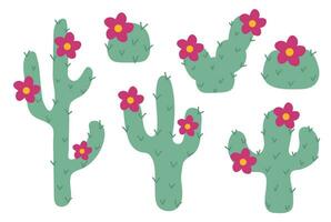 Set of different Cactus plants with pink flowers. Vector flat illustration isolated on white background.