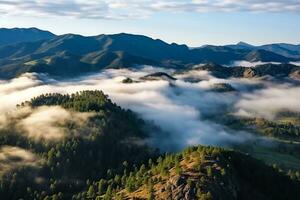 AI generated Aerial view of dark green forest with misty clouds. The rich natural ecosystem of rainforest concept of natural forest conservation and reforestation. photo