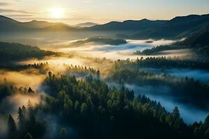 ai generado aéreo ver de oscuro verde bosque con brumoso nubes el Rico natural ecosistema de selva concepto de natural bosque conservación y repoblación forestal. foto