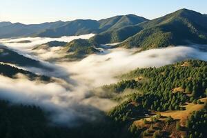 AI generated Aerial view of dark green forest with misty clouds. The rich natural ecosystem of rainforest concept of natural forest conservation and reforestation. photo