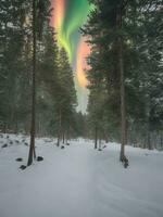 AI generated Capturing Nature's Beauty Stunning Landscape Photography Gallery, Generative Ai photo