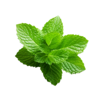 AI generated Mint leaves png isolated on transparent background