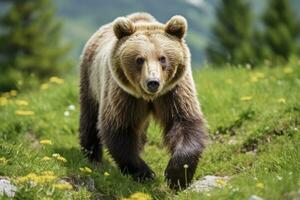 AI generated Brown bear moving on the green meadow in springtime nature. AI Generated photo