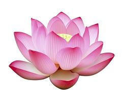 AI generated Lotus flower on white background. AI Generated photo