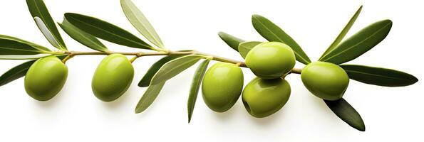 AI generated Olive tree branch, green olives and leaves on white background. AI Generated. photo