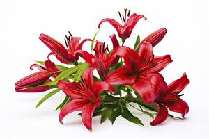 AI generated Red Lilies isolated on white background. AI Generated photo