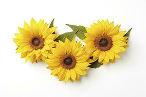 AI generated Sunflowers isolated on white background. AI Generated photo