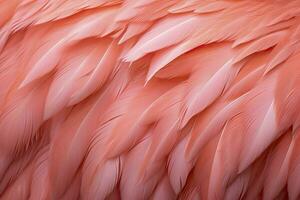 AI generated Flamingo Feather background. AI Generated photo