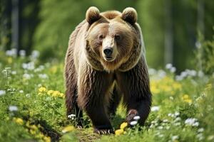 AI generated Brown bear moving on the green meadow in springtime nature. AI Generated photo