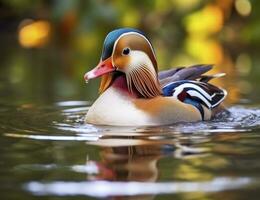 ai generado de cerca de mandarín Pato nadando en lago. generativo ai. foto