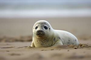 AI generated Harbor seal cub. AI Generated photo