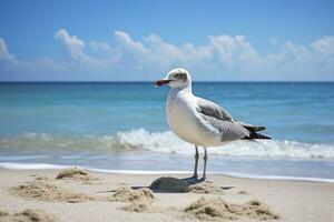 ai generado Gaviota en el playa debajo azul cielo. foto