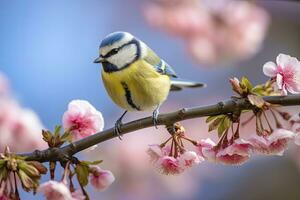 ai generado un bluetit pájaro descansando en el rama de un árbol. ai generado. foto