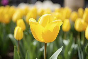 ai generado amarillo tulipán en el jardín. ai generado foto