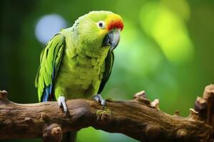 AI generated A green parrot on a branch. AI Generated photo