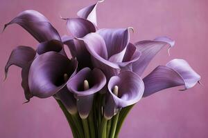 AI generated Bouquet of purple calla lilies against purple background.AI Generated photo