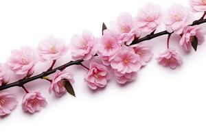 AI generated Sakura flowers isolated on white background. AI Generated photo