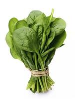 AI generated Bunch of spinach isolated on white background. AI Generated photo